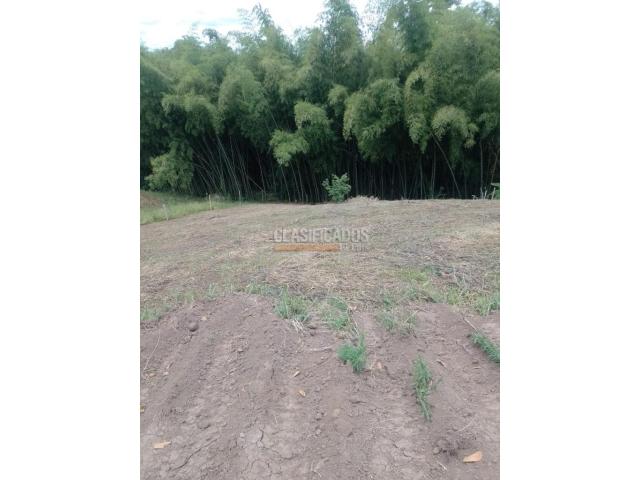 Lotes, Venta en Pereira