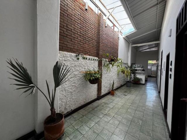 Casas, Alquiler en San Antonio