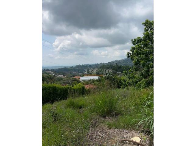 Lotes, Venta en La Reforma