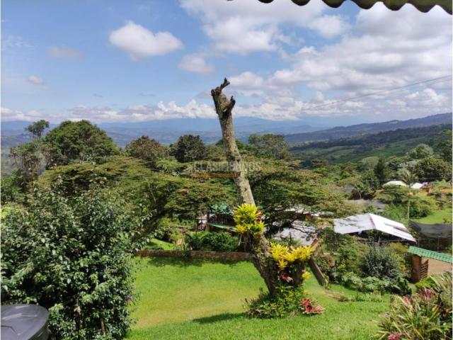 Fincas y Casas Campestres, Venta en Dapa