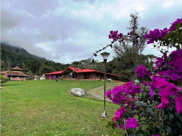 Fincas y Casas Campestres, Venta en Dagua