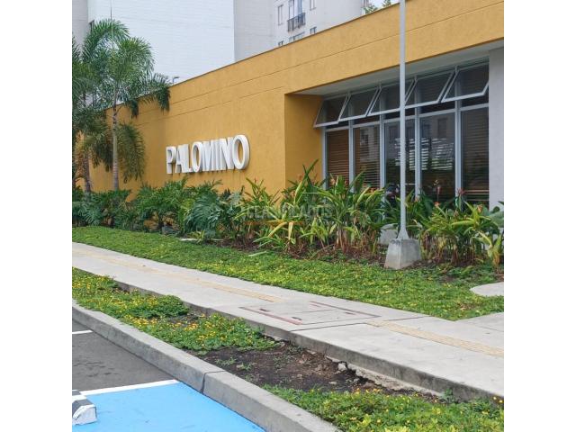 Apartamentos, Alquiler en Yumbo