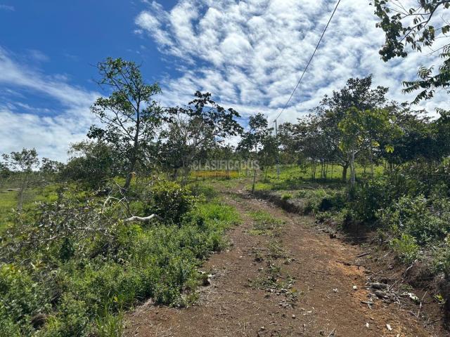 Lotes, Venta en La Cumbre