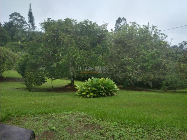 Fincas y Casas Campestres, Venta en Dagua