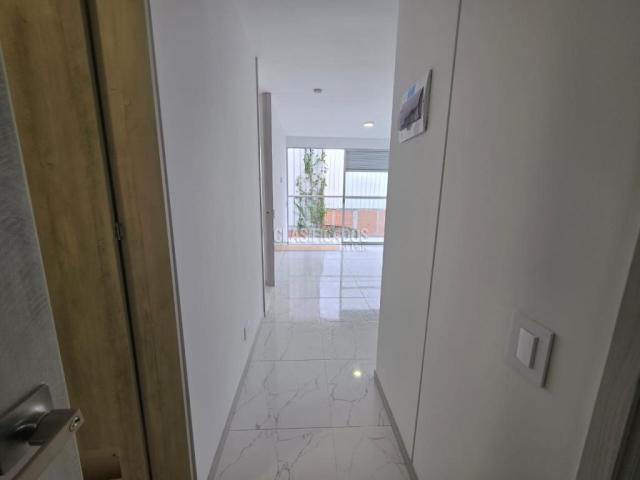 Apartaestudios, Alquiler en Pereira