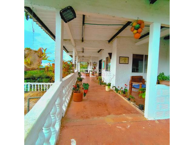 Fincas y Casas Campestres, Venta en Dagua