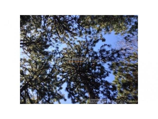 Lotes, Venta en Jamundí