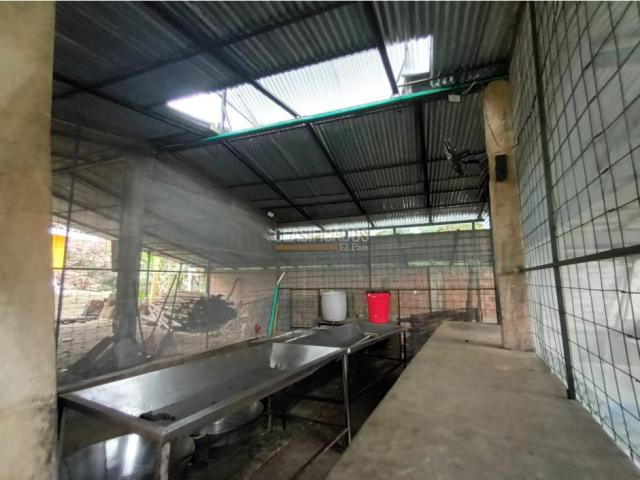 Fincas y Casas Campestres, Venta en Guacarí