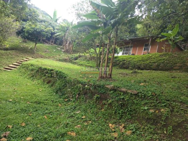 Fincas y Casas Campestres, Venta en Pichindé