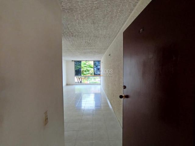 Apartamentos, Alquiler en Álamos