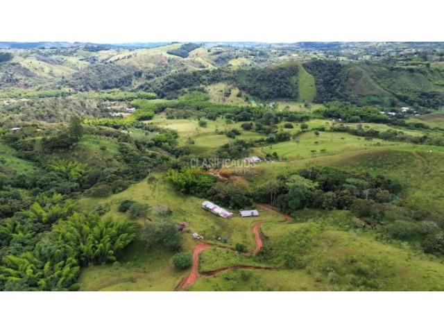 Fincas y Casas Campestres, Venta en La Cumbre