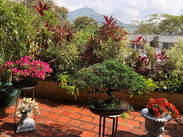 Casas, Venta en Arboleda