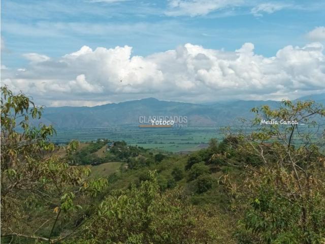 Fincas y Casas Campestres, Venta en Guacarí