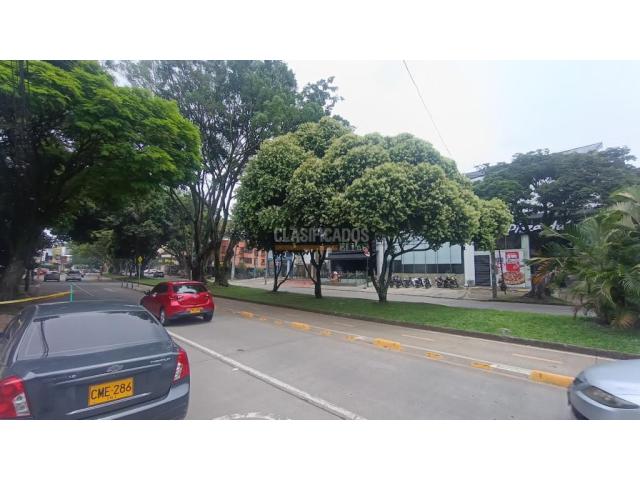 Locales y Bodegas, Alquiler en El Limonar