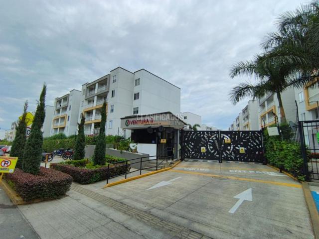 Apartamentos, Alquiler en Ciudad Pacifica