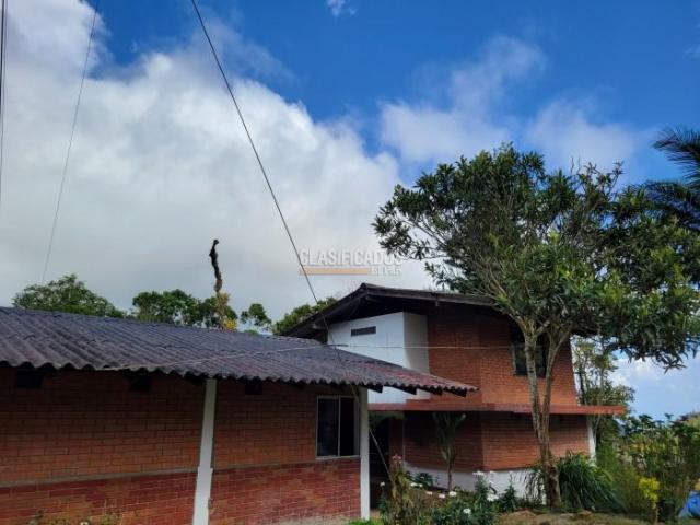 Casas, Alquiler en La Elvira