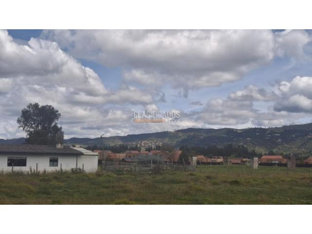 Fincas y Casas Campestres, Venta en Chía