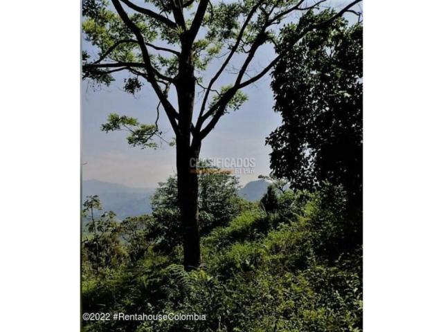 Lotes, Venta en Sasaima