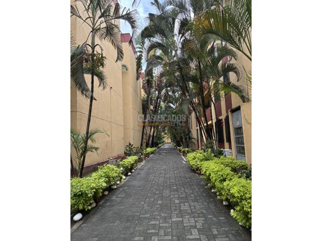 Apartamentos, Alquiler en Puente del Comercio