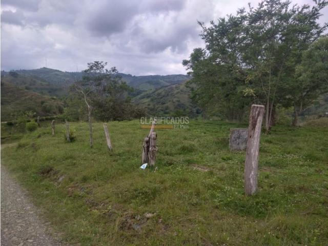Fincas y Casas Campestres, Venta en Guacarí