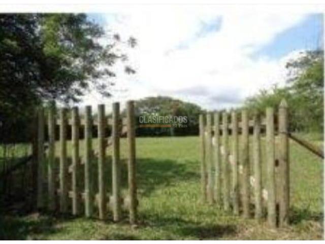 Lotes, Venta en Pance