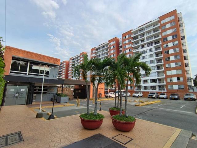 Apartamentos, Alquiler en Ciudad Jardín