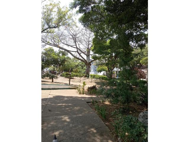 Apartamentos, Alquiler en San Fernando