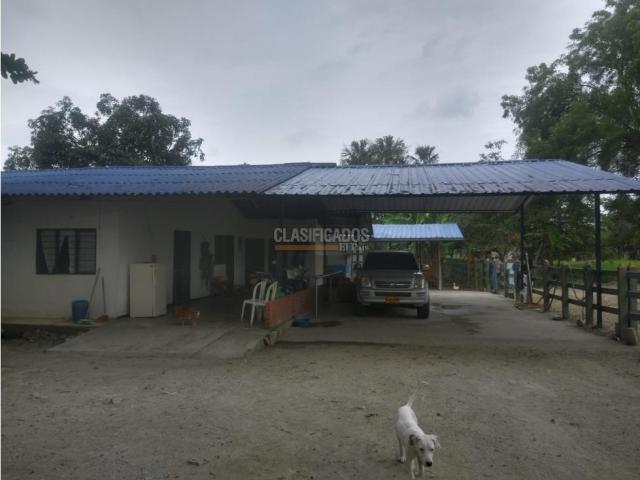 Fincas y Casas Campestres, Venta en Candelaria