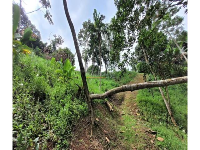 Lotes, Venta en Bella Suiza