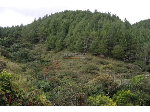 Fincas y Casas Campestres, Venta en Dagua