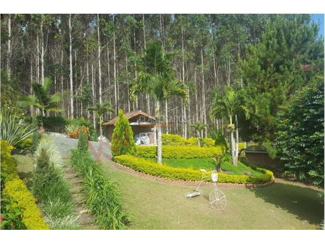 Fincas y Casas Campestres, Venta en Dagua