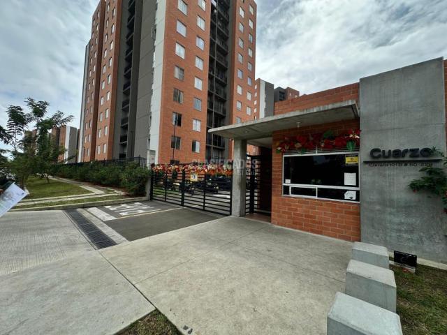 Apartamentos, Alquiler en Ciudad Melendez