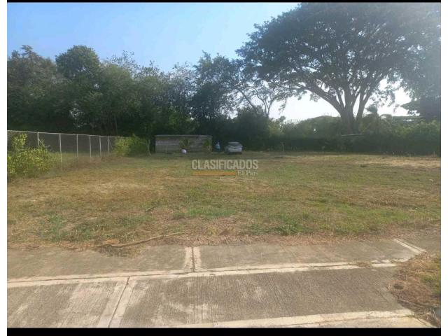 Lotes, Venta en Palmira