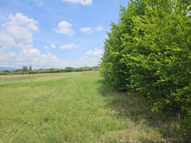 Lotes, Venta en Palmira