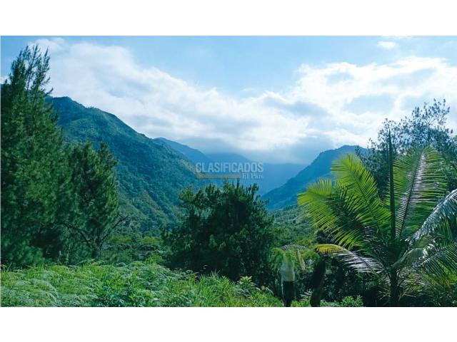 Lotes, Venta en Pance