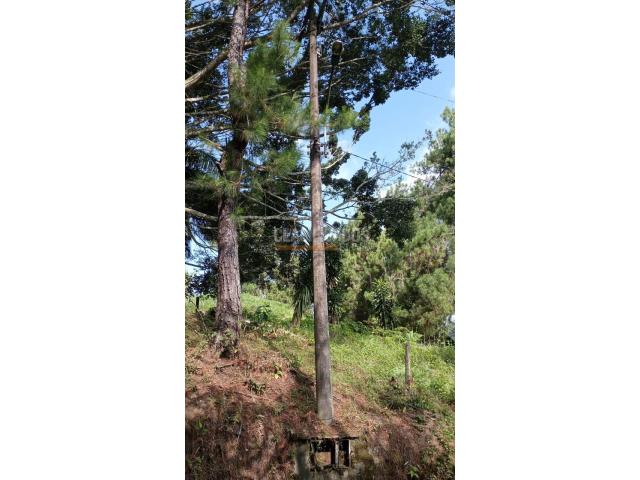 Lotes, Venta en Pance