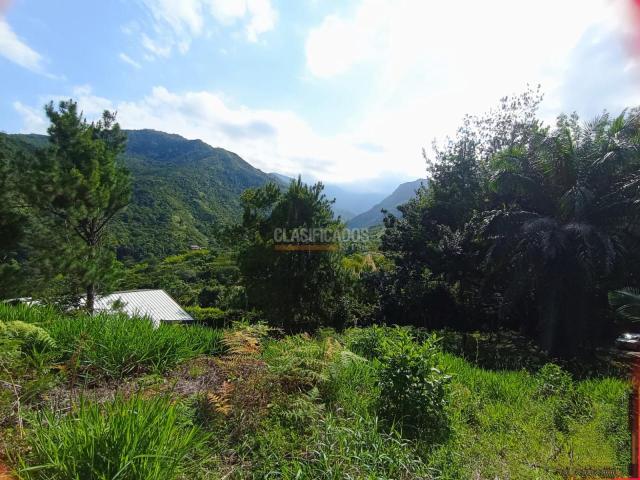 Lotes, Venta en Pance