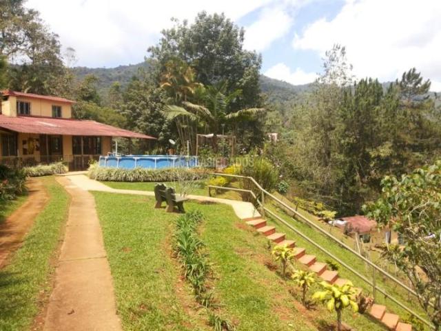 Fincas y Casas Campestres, Venta en Dagua