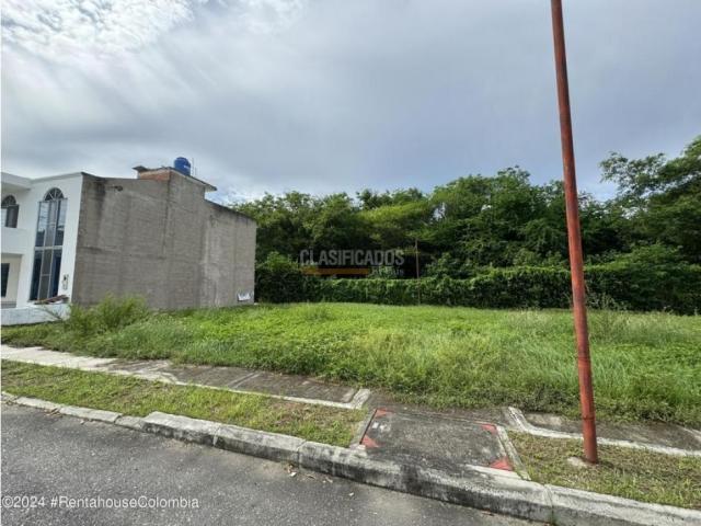 Lotes, Venta en Flandes