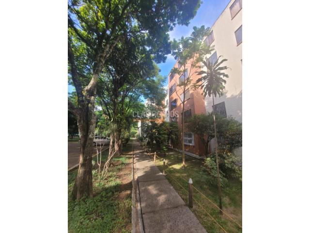 Apartamentos, Alquiler en El Limonar