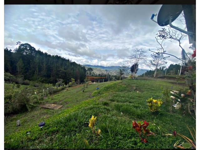 Fincas y Casas Campestres, Venta en Dagua