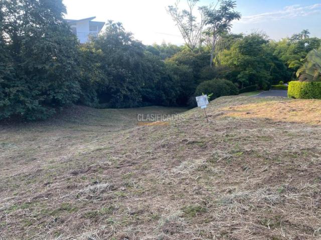 Lotes, Venta en Pereira