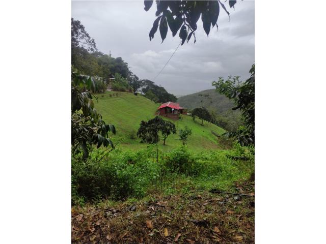 Fincas y Casas Campestres, Venta en Dagua