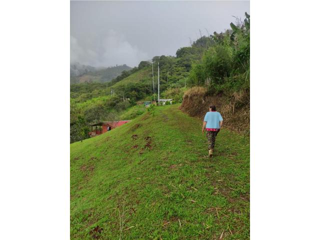 Fincas y Casas Campestres, Venta en Dagua