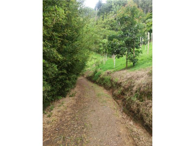 Fincas y Casas Campestres, Venta en Dagua