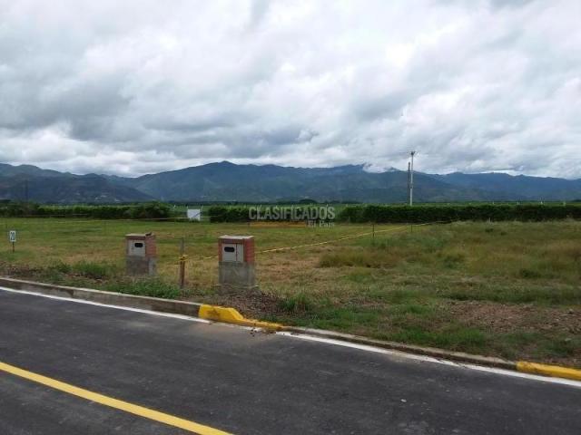 Lotes, Venta en Palmira