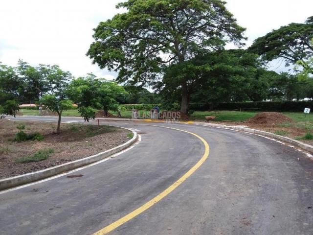 Lotes, Venta en Palmira