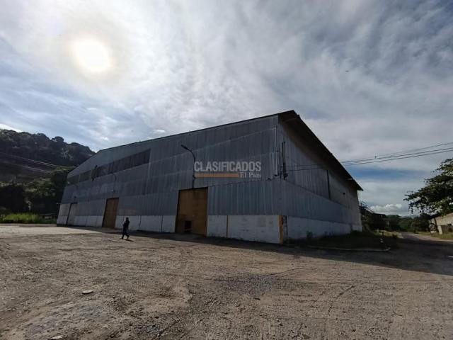 Locales y Bodegas, Alquiler en Bucaramanga