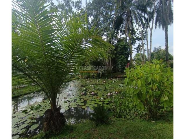 Lotes, Venta en Jamundí