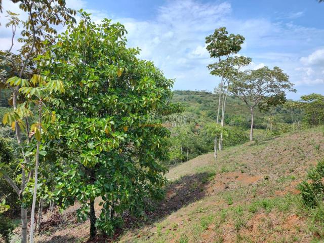 Lotes, Venta en Pance